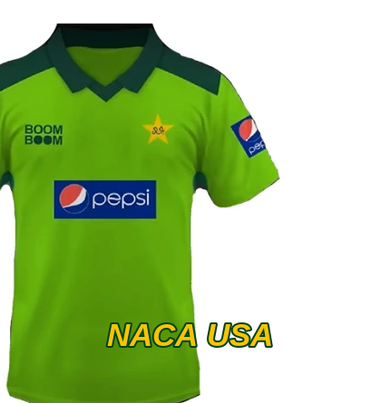 Pakistan Retro Jersey 2010 Season